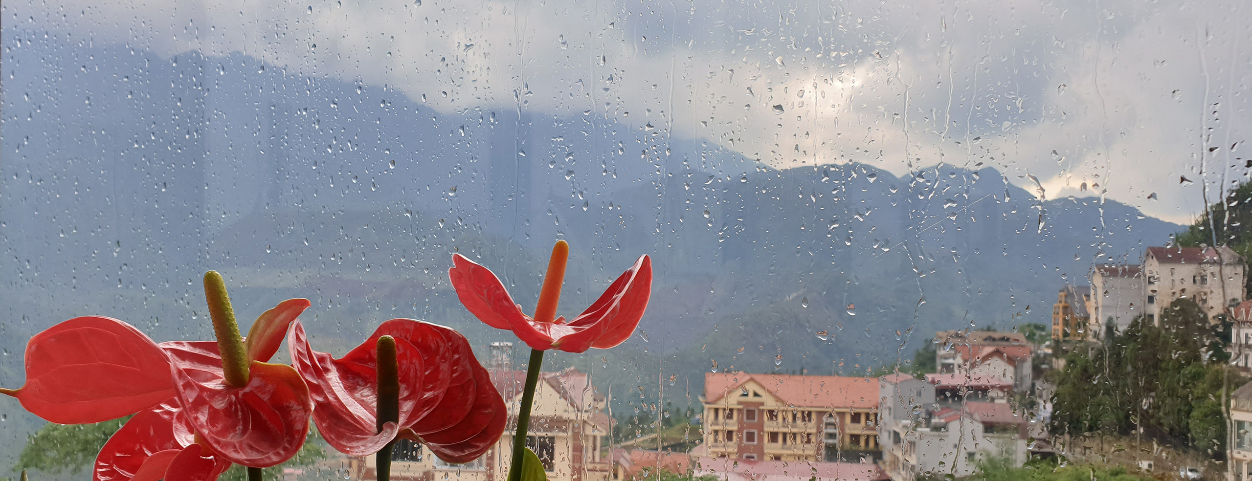 symphony hotel bar coffee